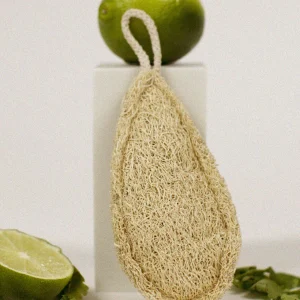 Éponge végétale loofa