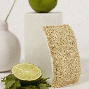 Éponge végétale loofa