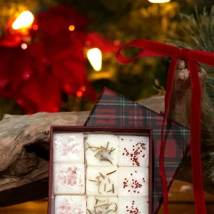 Ensemble de cubes de cire - SAPIN, BAIES ET POMME GRENADE