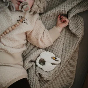 ANNEAU DE DENTITION  CYGNE